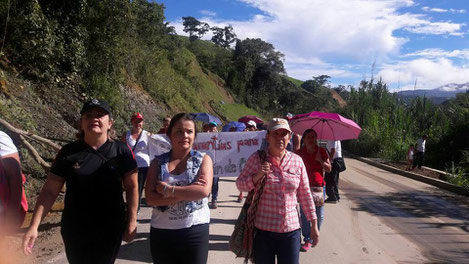 Foto Prof. Wilson Andrés Bolivar