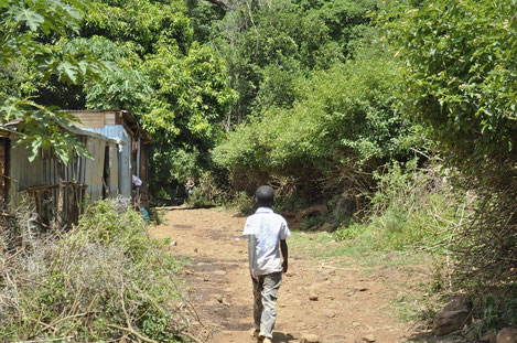 impact de l'environnement sur les populations habitant la forêt africaine