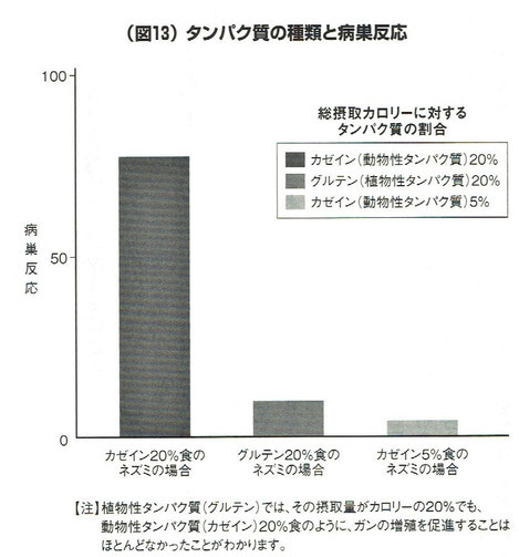 「チャイナ・スタディー」より