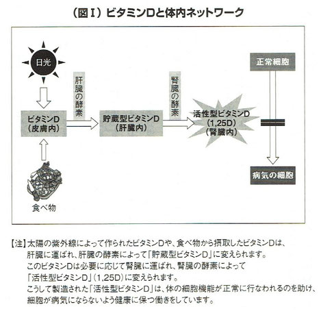 「チャイナ・スタディー」より