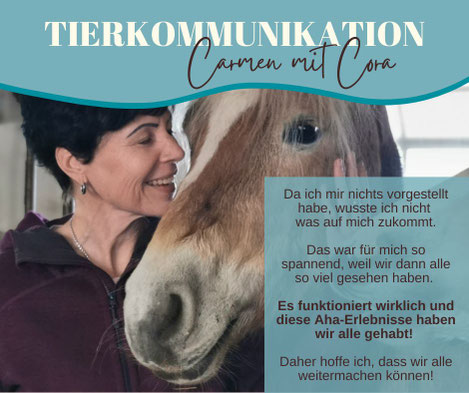 Frau lächelt Haflinger-Stute mit weißer Blässe zu
