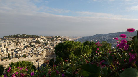 The view overlooking Jerusalem - Dante Harker