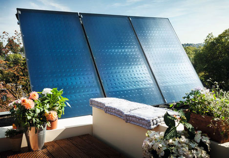 Solarkollektor Logasol 1.0 auf Dach umgeben von Pflanzen