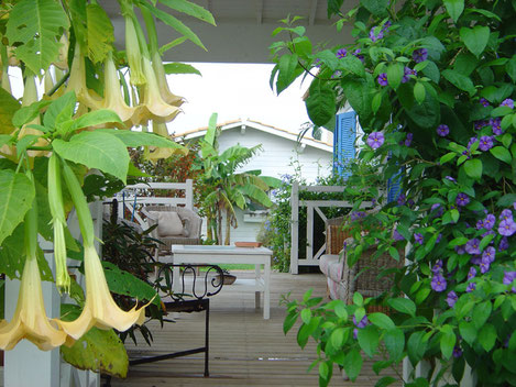 terrasse bois très déco