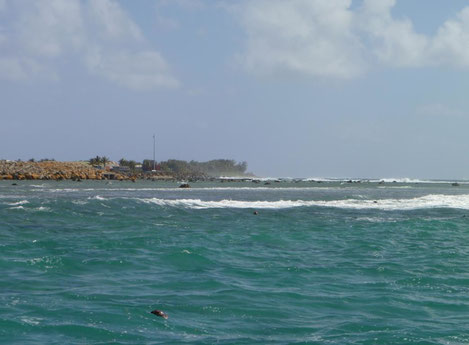 Rarotonga Port - die einzige Stelle, wo das Riff offen ist und wirklich Strömung rein kommt