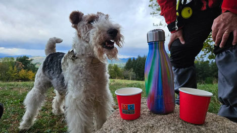 pique nique dans le massif du Sancy avec un chien