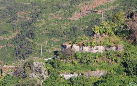 Casa terrera canaria en Gallegos