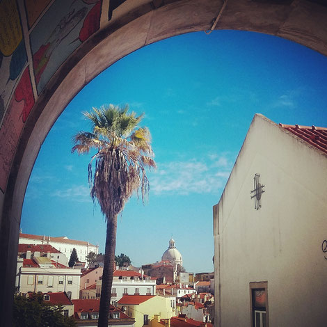 Lisbon palm tree Portugal Poets Hostel