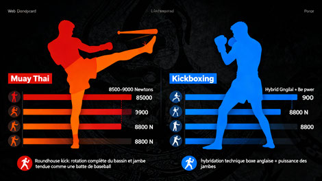 Domination du Muay Thai et du Kickboxing - Comparaison des forces d'impact biomécanique