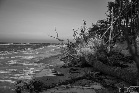 ostsee - jahreswechsel