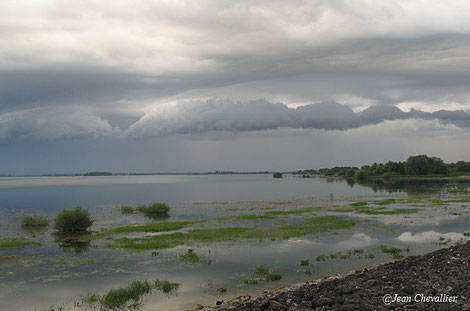 Lac du Der, photo Jean Chevallier