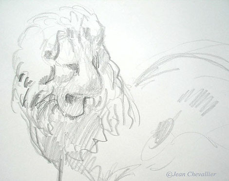 Lion, Aphrodisias Croquis Jean Chevallier