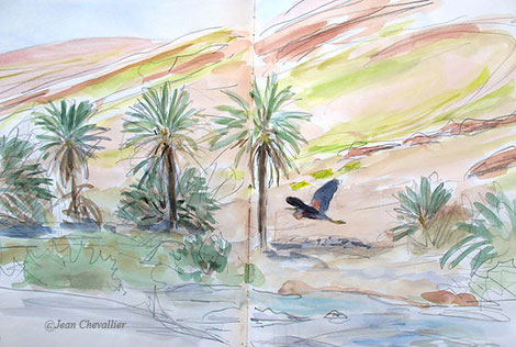 Héron pourpré Oued Ghir, aquarelle jean Chevallier