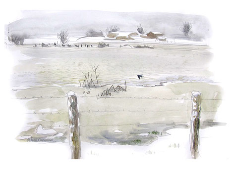 Hirondelle rustique entre neige et glace, à Chatillon sur Broué, aquarelle Jean Chevallier