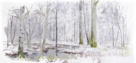 Foret inondée et enneigée, aquarelle Jean Chevallier