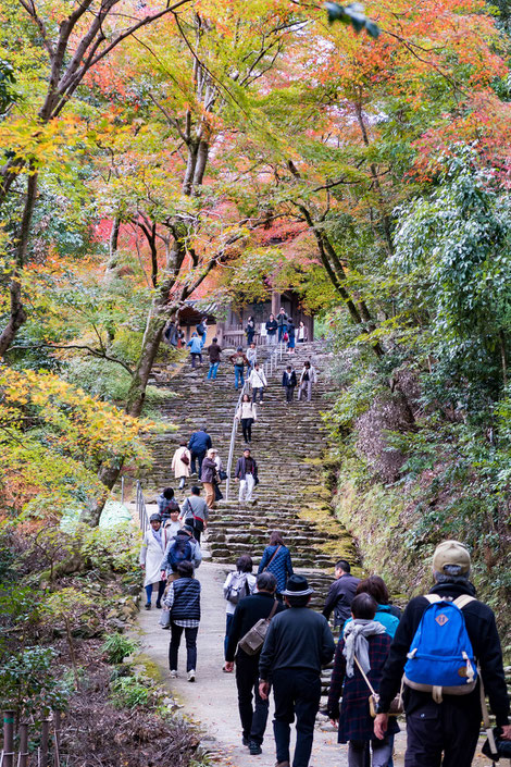 高雄神護寺 参道階段