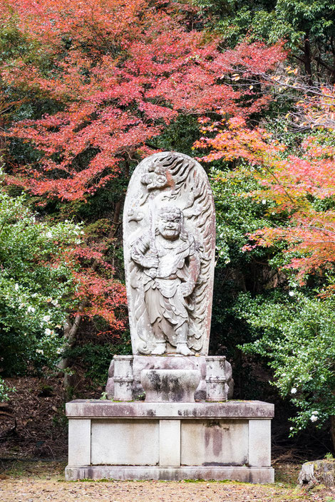 高雄神護寺 紅葉・お不動さん