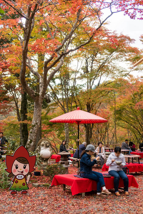 高雄神護寺 食事処