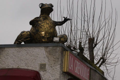 Pendant le voyage il y avait même des grenouilles sur le toit... (Très bon resto)