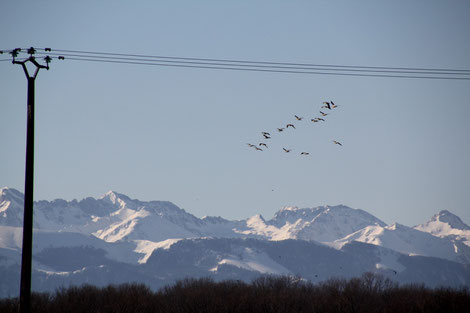 Un jour de soleil, ouf ! Au pied des Pyrénées région Gaptieux