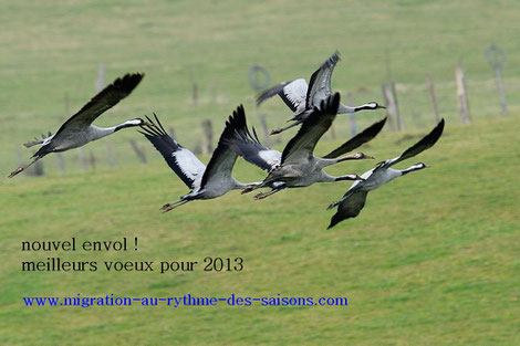 meilleurs voeux pour 2013