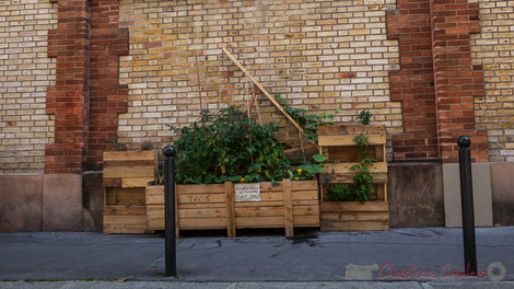 Ceci est un champ de tomates...peur-être, Passage Josset, Paris 11ème