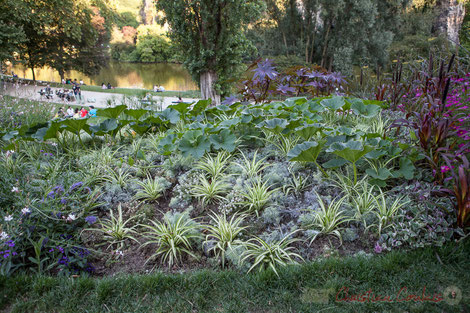 Parterre "Armand Carrel", Parc des Buttes-Chaumont, Paris 19ème arrondissement