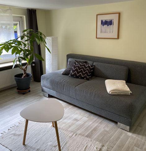 Wohnzimmer mit Schlafsofa