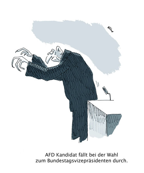 AFD Bundestag Vizepräsident Wahl