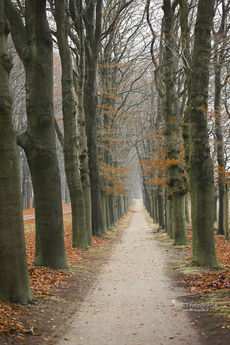 Sluitertijd 1/40 sec., diafragma f/11, ISO 320