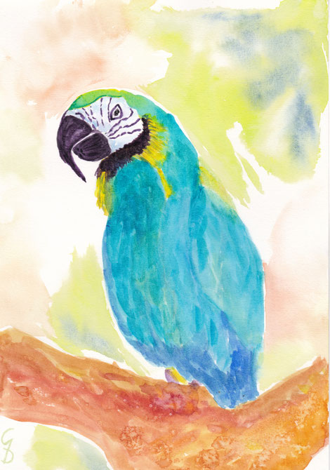 blauer Papagei, A4, €150