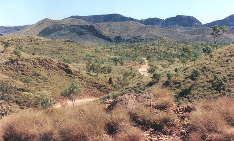 Auf dem Spring Creek Track