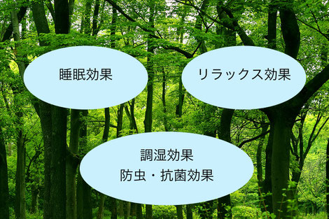 国産い草畳の多面的健康効果は高い