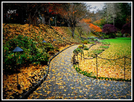 © Winifred. The Butchart Gardens, Victoria, British Columbia.