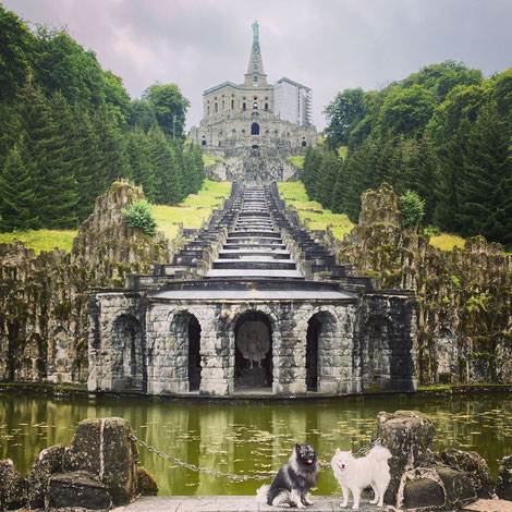 Kassel Bergpark Deutscher Spitz Herkules