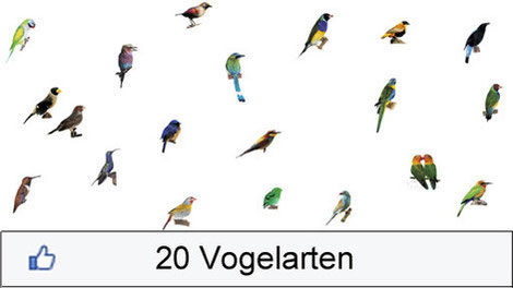 Vogelgraphik Monokultur