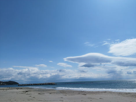 七ヶ浜町整体,七ヶ浜パワースポット,多賀城占い,多賀城市占い,宮城保護犬