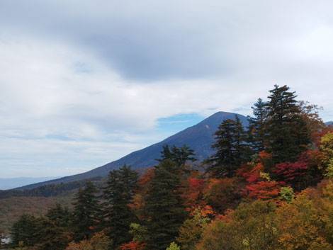 岩手県占い,八幡平市スピリチュアル,雫石町占い,盛岡整体,奥州市スピリチュアルヒーリング,盛岡市占い