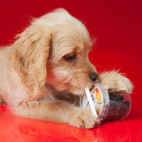 Foto: PP-Petfood-Verpackungen Heimtierprodukte für glückliche, agile Hunde