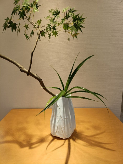 衝動のままに、力を解き放つ白