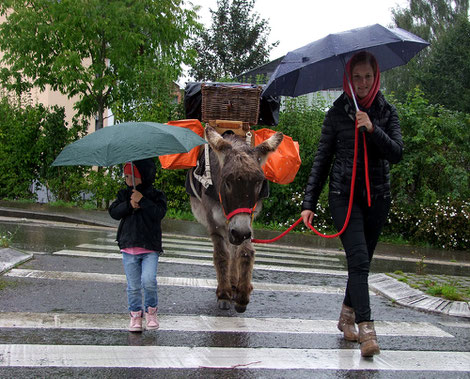 Sommer 2014 - da hat uns der Regen unterwegs überrascht.