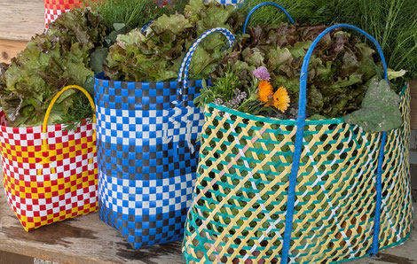 Sommerliche Vielfalt mit Paradeisern, Schnittlauch, Basilikum, Melanzani, Gurke, Paprika, Rote Rüben Bund, Fisolen, Zucchini, Fenchel, Mangold und Malabarspinat