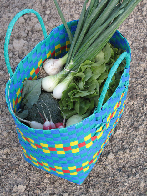 Der Blick in eine Vielfaltstasche im Mai zeigt Salate, Schnittlauch, Radieschen und Brokkoli