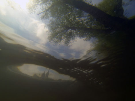 Quand la caméra sous marine de l'artiste Valera explore la vue dans le Danube à Regensburg en Allemagne