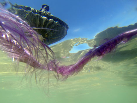 Fontaine des trois Grâces, Bordeaux, 2018.