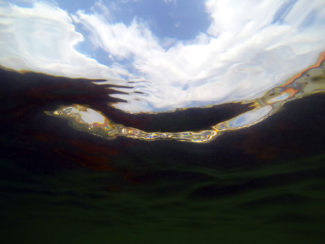 Prague s'invite à la série de photographies sous marines de l'artiste français Laurent Valera