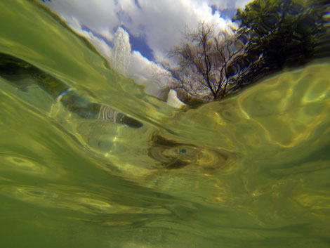 Beauté de l'eau et magie de ses effets sur la lumière : photographies d'art de Valera lors de la résdience d'artiste en Allemagne en 2017. Fontaine à Regensburg