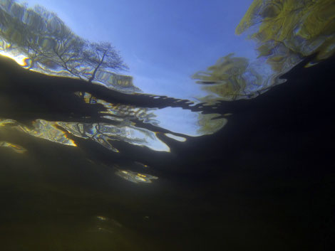 Le déluge vu par Laurent Valera avec ses photographies sous marines