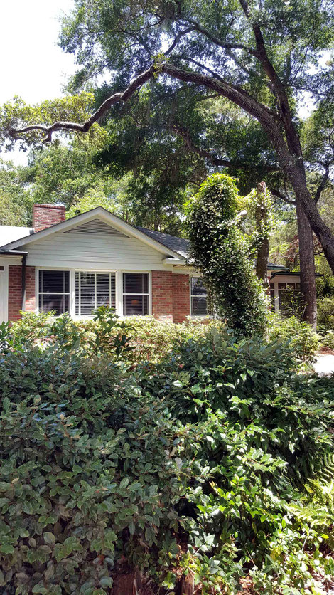 Late May 2016 ; Baba's House. Photo taken by Anthony Zois