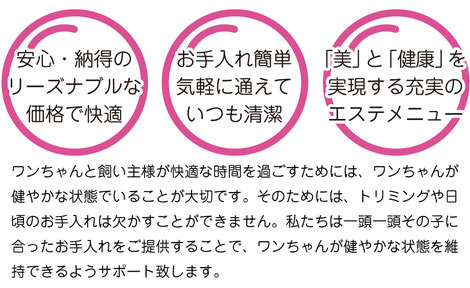 安心・納得のリーズナブルな価格。お手入れ簡単気軽に通えていつも清潔。短時間でワンちゃんノーストレス!